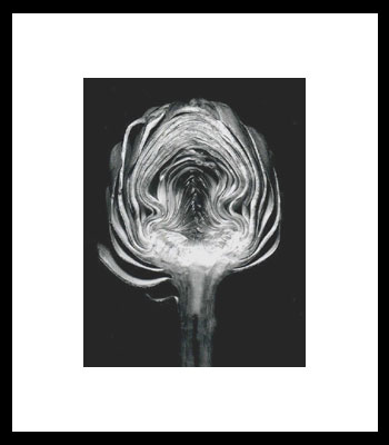 Black and White Photography by Alberto Zarate