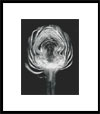 Black and White Photography by Alberto Zarate