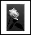 Black and White Photography by Alberto Zarate